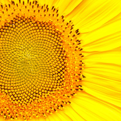 Similar image 290920