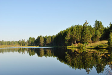 Similar image 290981