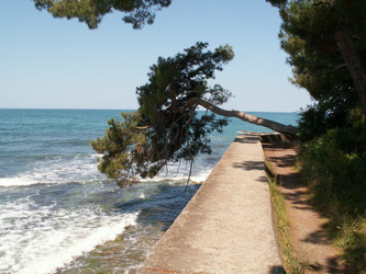 Similar image 290986