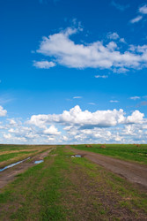 Similar image 290987