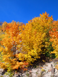 Similar image 290989