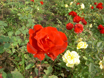 Similar image 291006