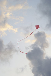 Similar image 291019