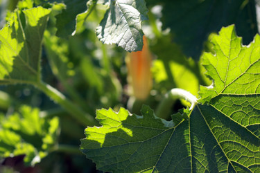 Similar image 291122