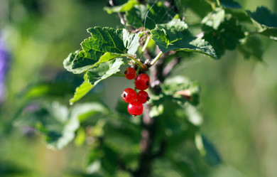 Similar image 291125