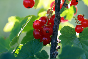 Similar image 291130