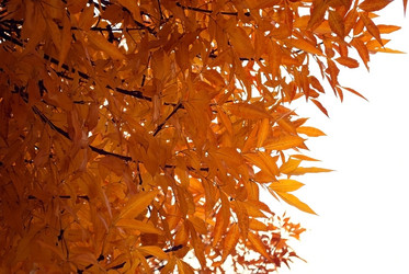 Similar image 291221