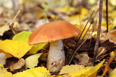 Similar image 291229