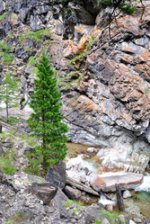 Similar image 291241