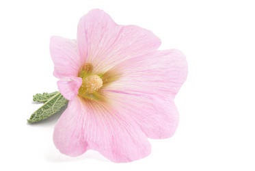 Similar image 291251