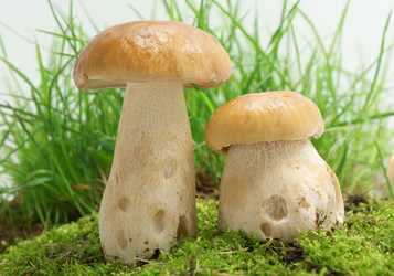 Similar image 291315