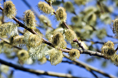 Similar image 291322