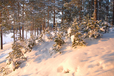 Similar image 291362