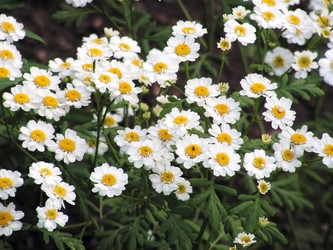 Similar image 291367