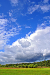 Similar image 291372