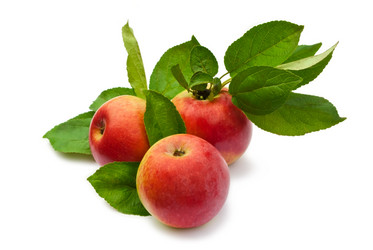 Similar image 291398