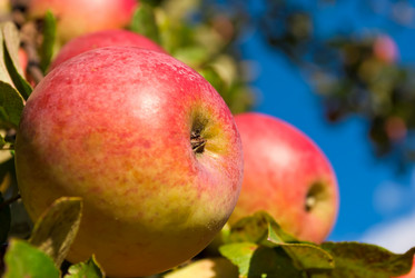 Similar image 291406