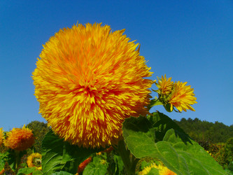 Similar image 291408