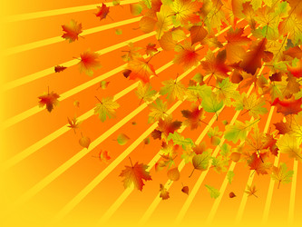 Similar image 291437