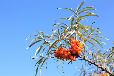 Similar image 291448