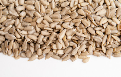 Similar image 291451