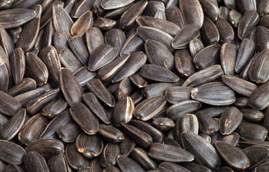 Similar image 291453