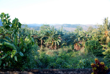 Similar image 291464