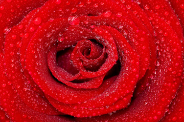 Similar image 291499