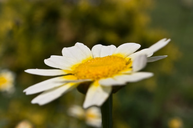 Similar image 291501