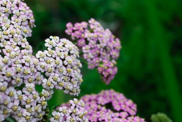 Similar image 291503