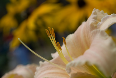 Similar image 291505