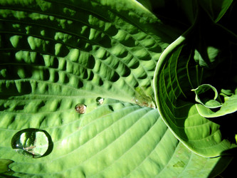 Similar image 291509