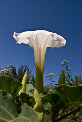 Similar image 291516