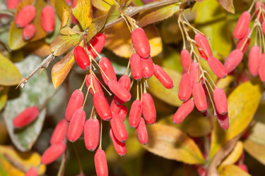 Similar image 291525