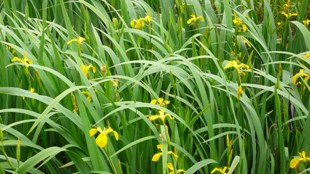 Similar image 291552