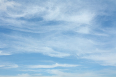 Similar image 291558