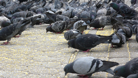 Similar image 291604