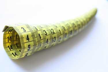 Similar image 291657