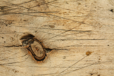 Similar image 291684