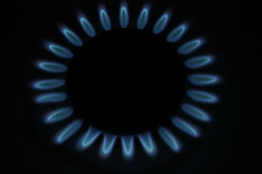 Similar image 291700