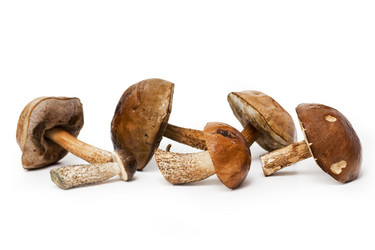 Similar image 291707