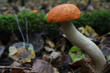 Similar image 291713