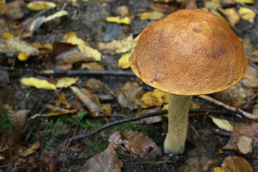 Similar image 291714