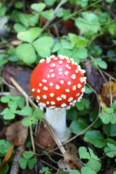 Similar image 291728