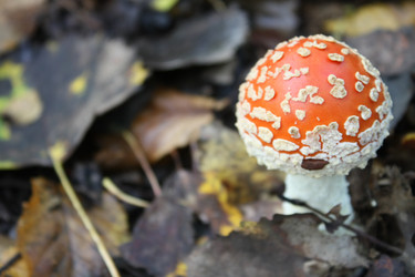 Similar image 291734