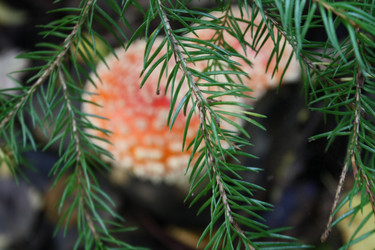 Similar image 291738