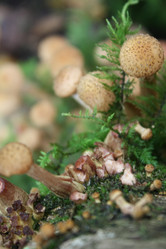 Similar image 291744