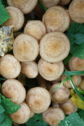 Similar image 291747