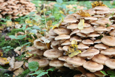 Similar image 291749