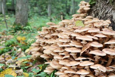 Similar image 291750